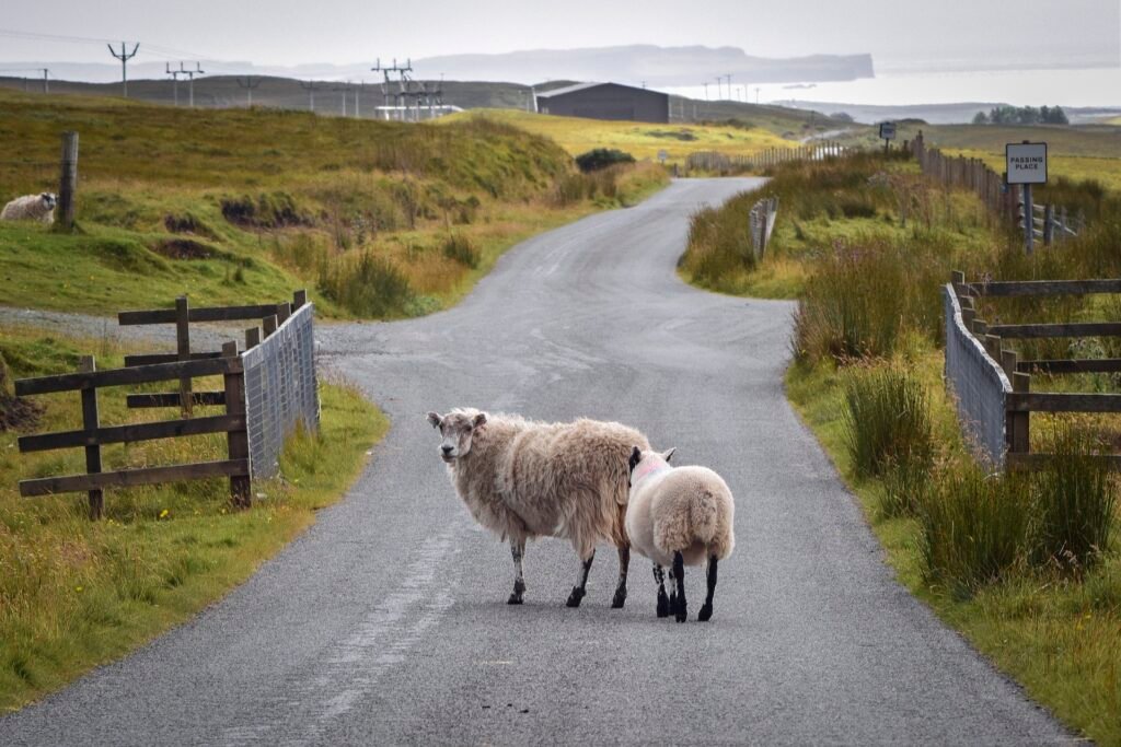 Scotland Country Side